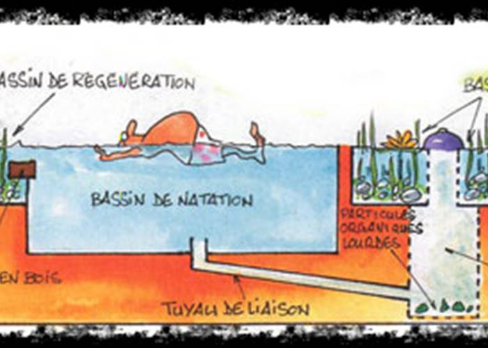fonctionnement d'une piscine naturelle
