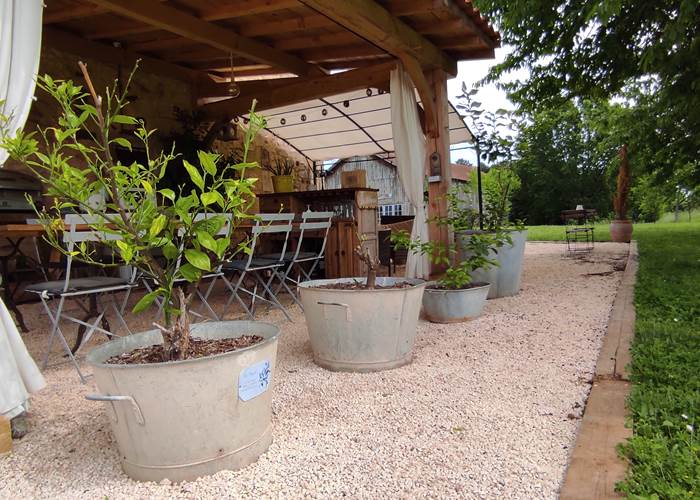 De vieilles bassines à confiture pour contenir les agrumes-page