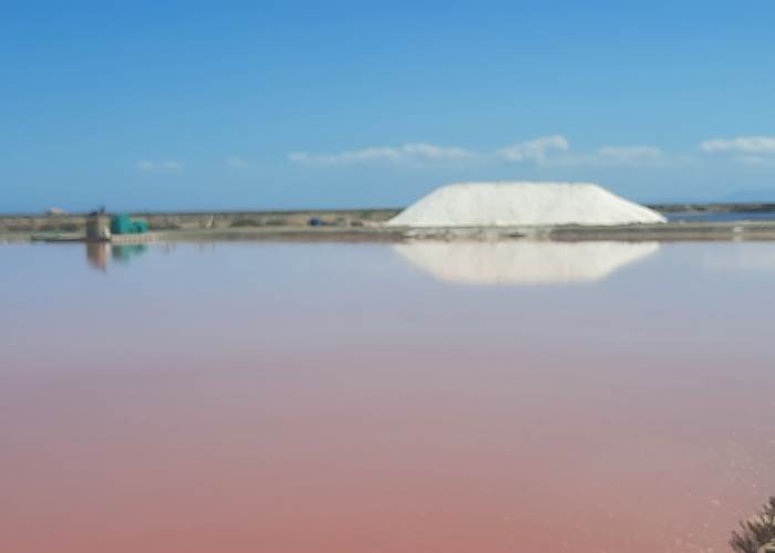Les salins de Gruissan