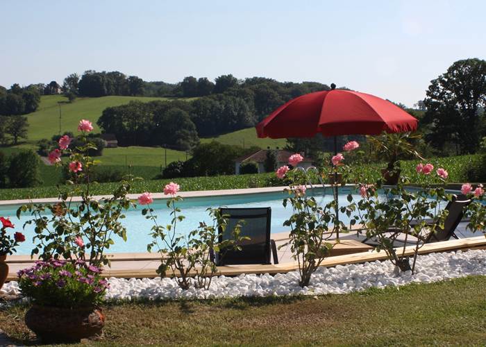 Pool with a view / piscine avec vue sur les collines
