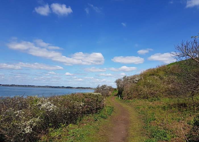 ILEAUXMOINES-GOLFEDUMORBIHAN-BRETAGNESUD
