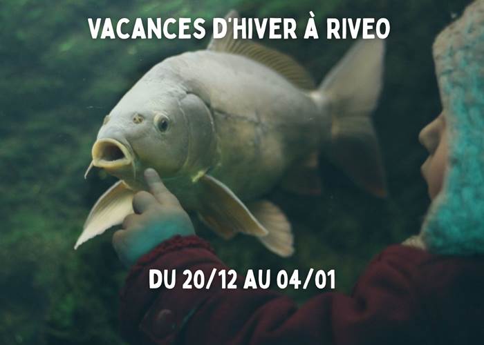 vacances-hiver-activite-famille