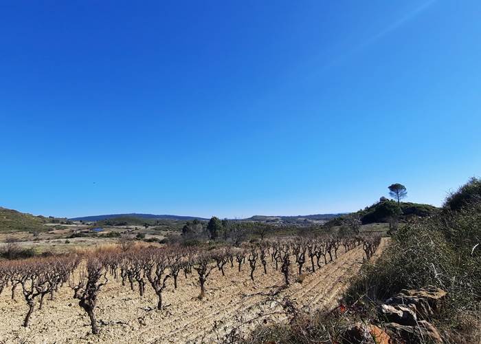 Des balades sous un beau ciel bleu toute l'année