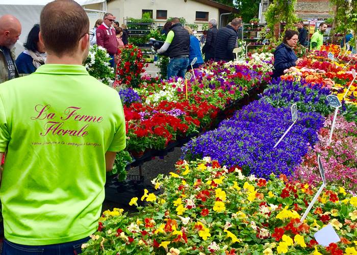 Montech - Les Floralies