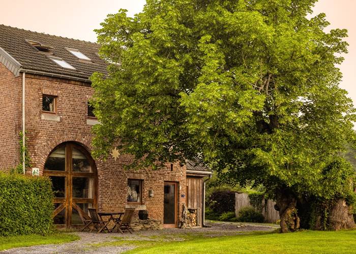 L'arbre de Ferage-news