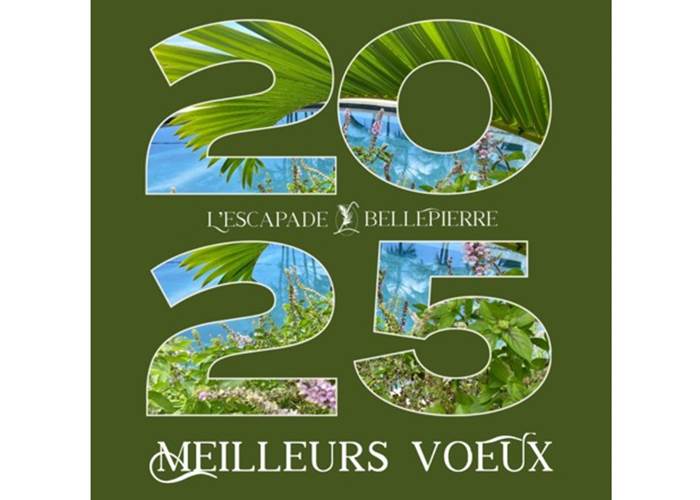 Meilleurs vœux 2025
