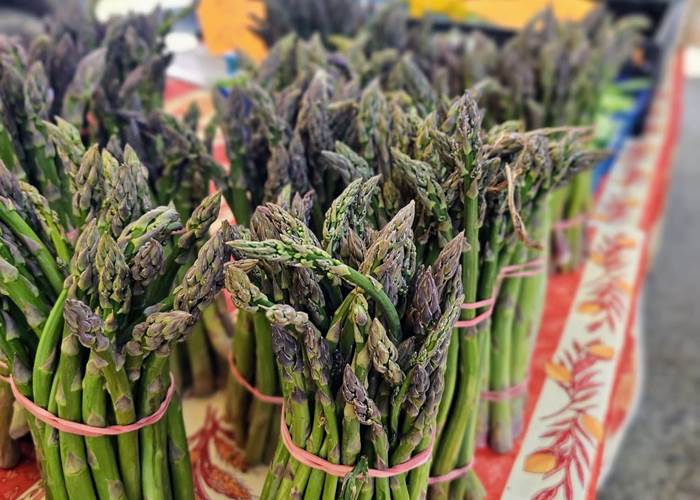 Les Marchés Provençaux - Lourmarin