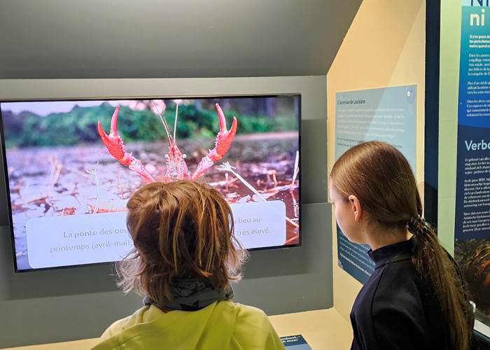 exposition-especes-invasives