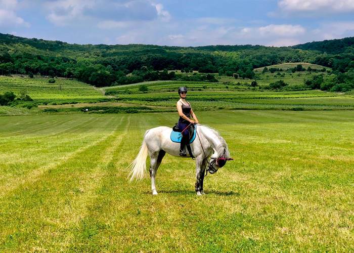 randonnée équestre - balade à cheval