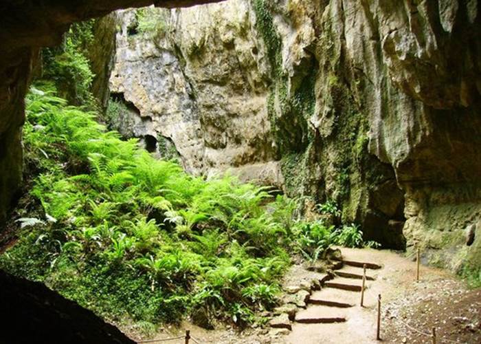 phosphatiere-du-cloup