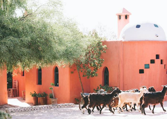 Une expérience... unique !