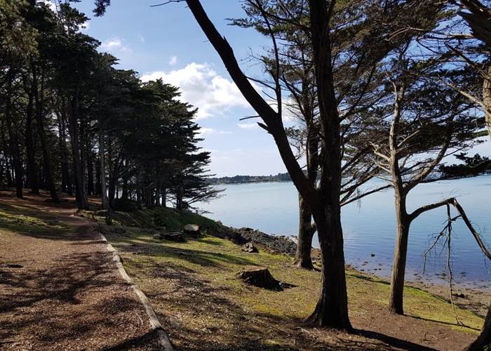 ILEAUXMOINES-GOLFEDUMORBIHAN-BRETAGNESUD