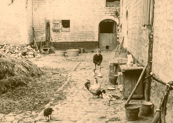 Ferme Fortemps - Cour avec le fumier 1946