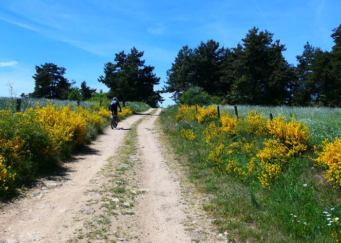Ballade en VTT sur les chemins de Margeride