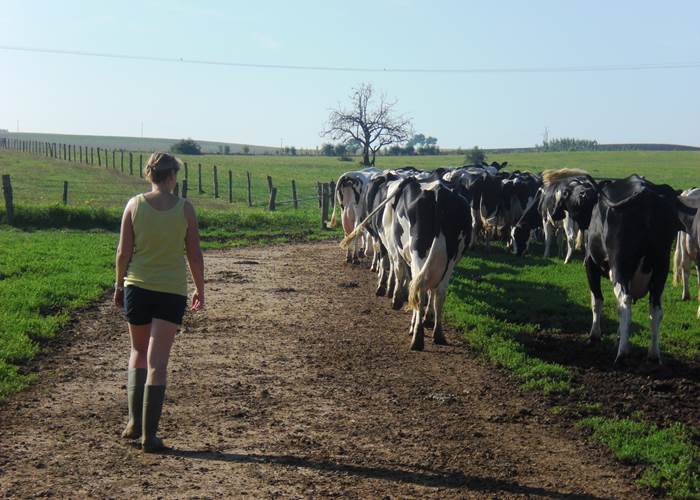 la conduite au pré