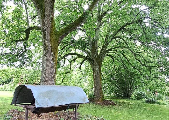 sous les tilleuls INYAQAB