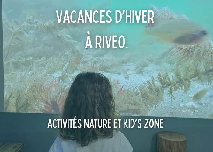 activite-vacance-noel-famille-ardenne