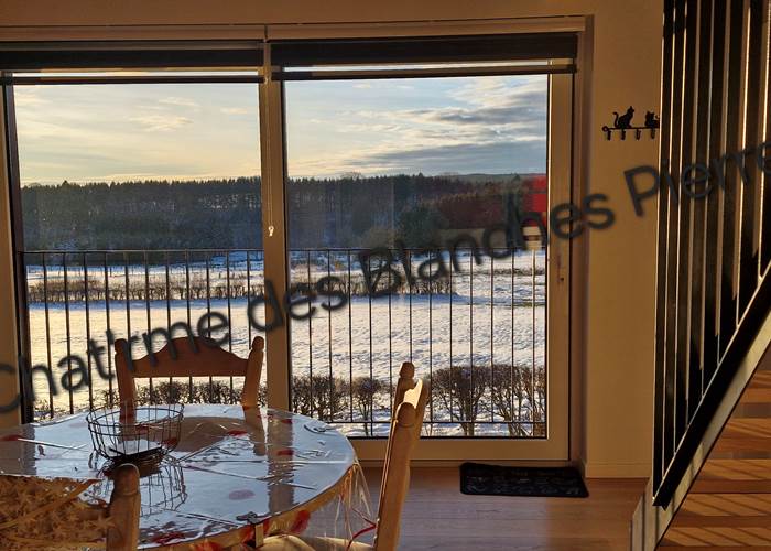 Cuisine studio, vue sur la rue (calme) et la nature