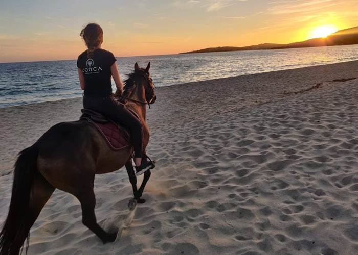 L'ORCA BALADE A CHEVAL 0615681244