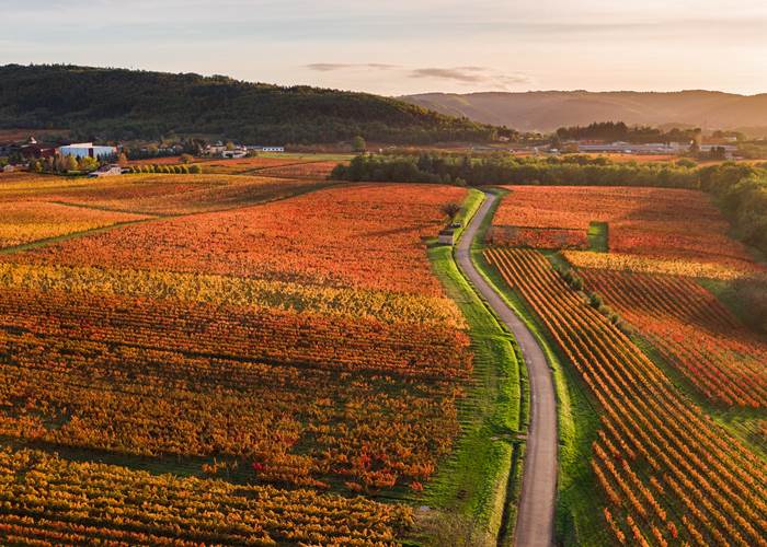 Vignoble de Cahors © C