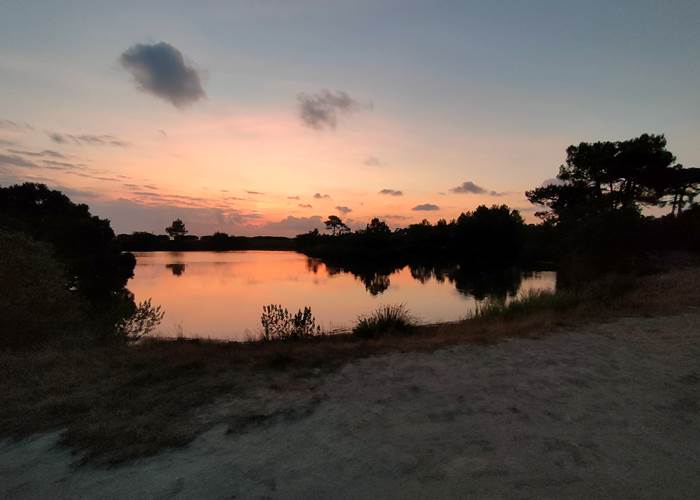 Coucher de soleil sur le Bassin d’Arcachon à Taussat près de Locaplage