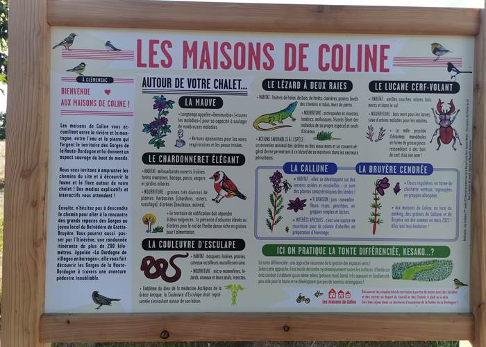 La biodiversité aux maisons de Coline