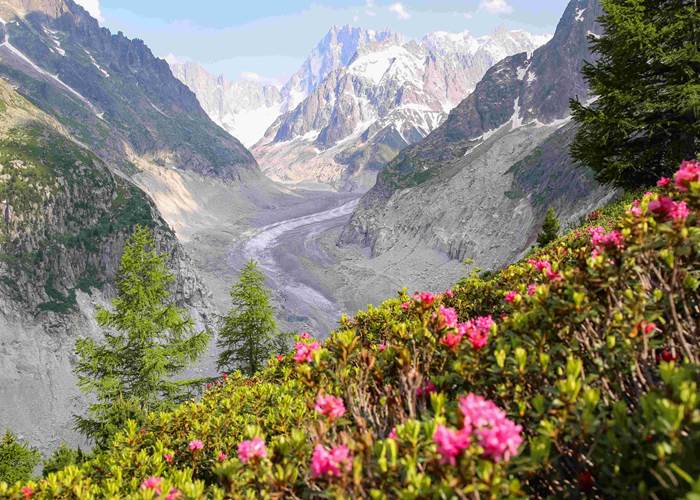Mer de glace