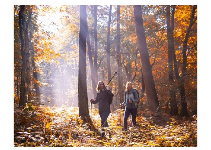 Rando Forêt d'automne