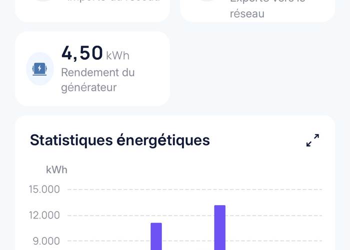 mas-des-anges-bilan-energetique-production-consommation-solaire_autoconsommation-photovoltaique-statistiques-2025 (2).jpg