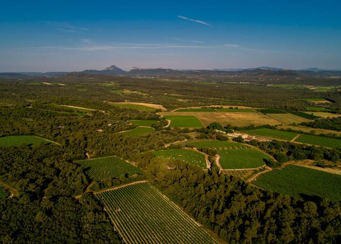 Domaine viticole