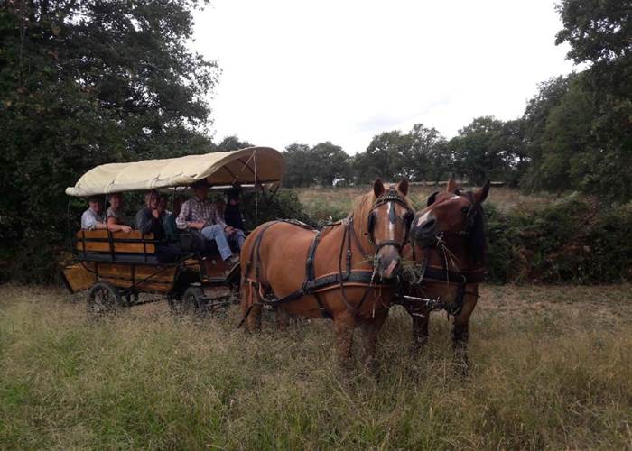 #SlowTourisme #TourismeVert #Patrimoine #ExpérienceAuthentique #Nature #Famille #Évasion #NouvelleAquitaine #VienneTourisme #LimousinTourisme