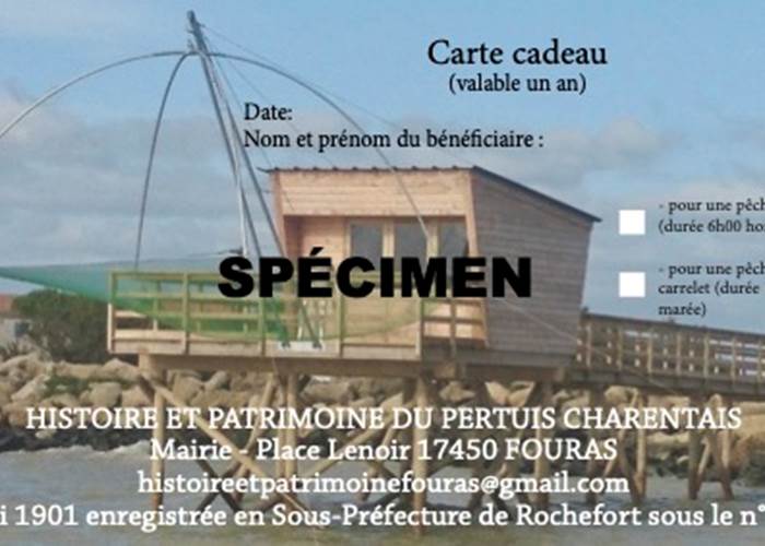 Sans titre