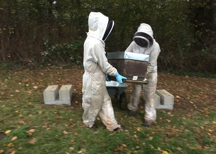 Installation du rucher