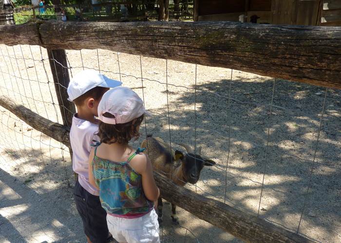 Parc animalier de Gramat © Lot Tourisme - E