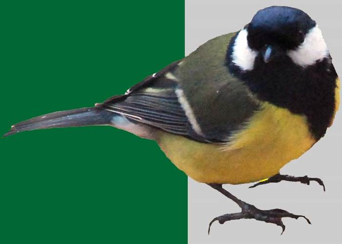 "Je suis là également pour vous accueillir!"