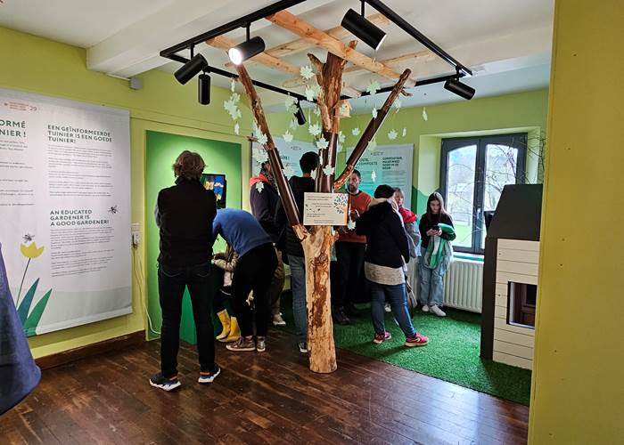 team-building-nature