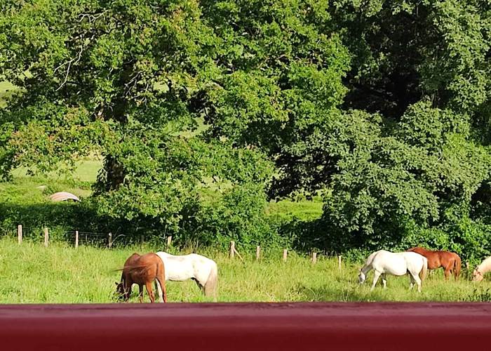 Chevaux Contrebandiers tourisme équestre