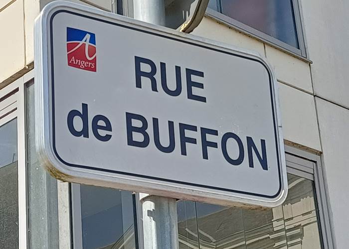 Villa Buffon Angers, 22 rue de Buffon