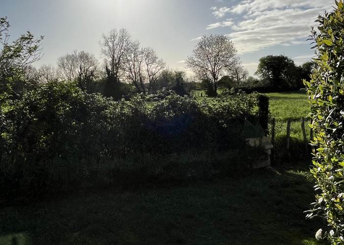 La vue prairie depuis les gites