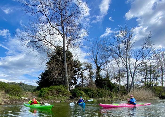 Abbartello Kayak sanglier sur Taravo
