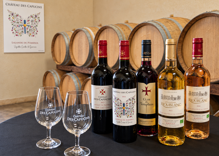 Dégustation de vins au chai