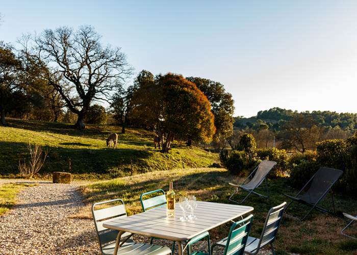 terrasse avec vue sur les vignes