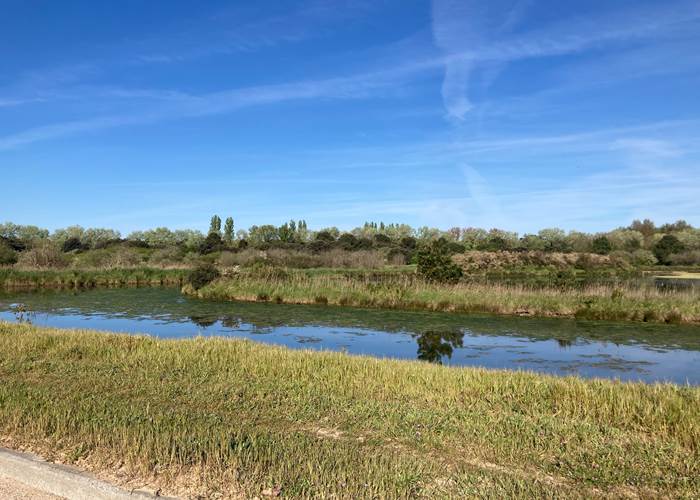 Marais des Bris