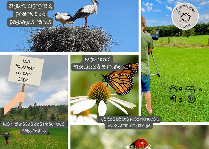 les activités du parc ESEM