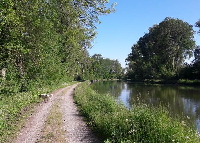 Au cœur de la nature
