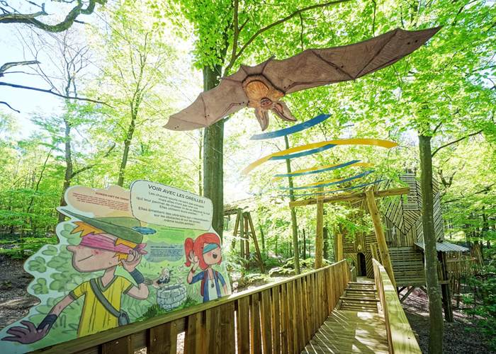 Parcours cime des arbres