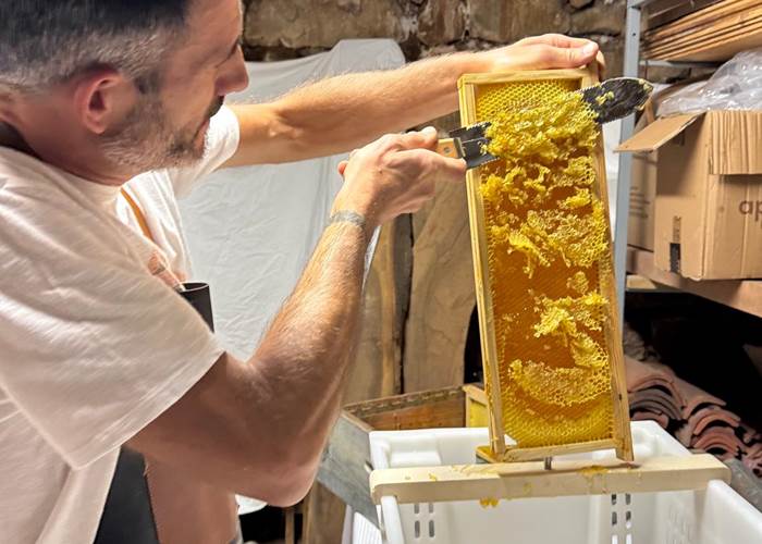 Extraction du miel de La Maison des Etoiles