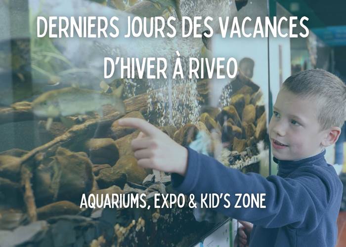 activite-famille-interieur-aquarium-enfant