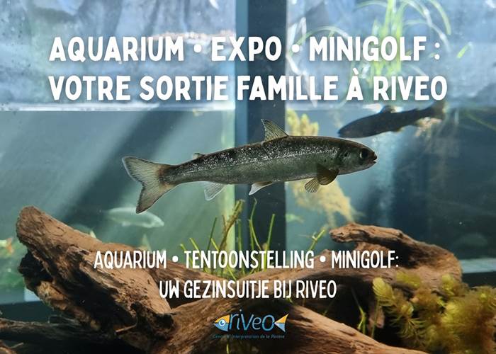 aquariums-exposition-minigolf-riveo-wallonie