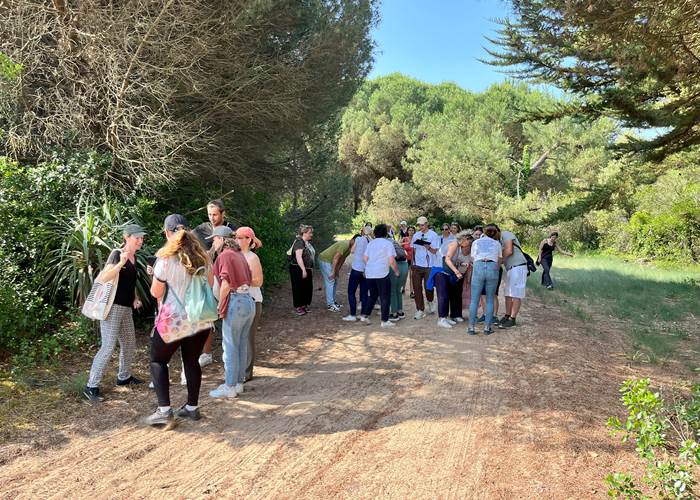 team building au bois plage en ré